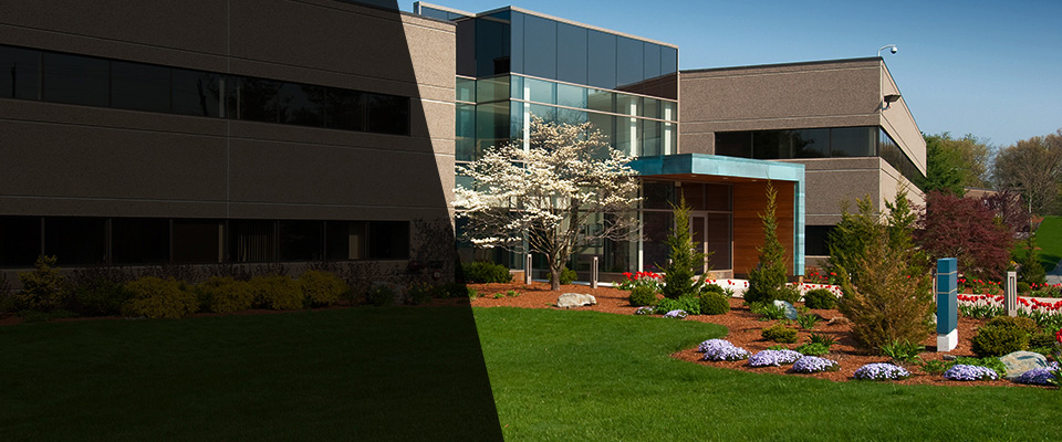 Montgomery Village Landscapers