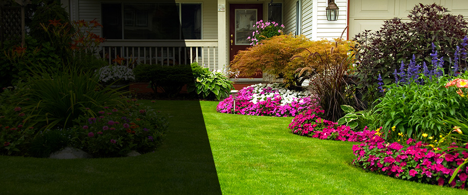 Montgomery Village Landscapers
